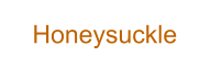 Honeysuckle
